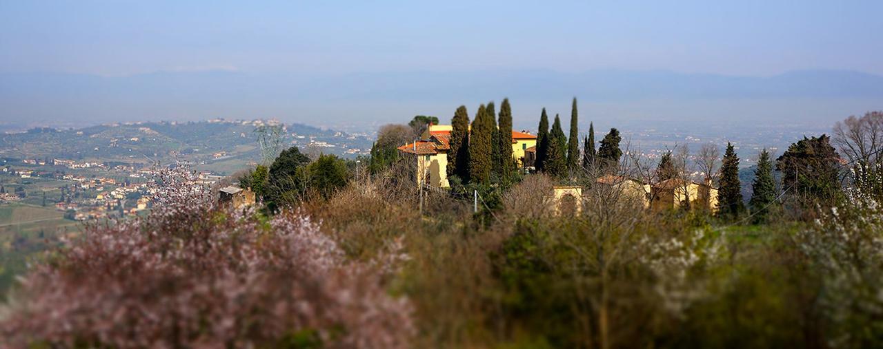 Agriturismo Frigionaia 까르미냐노 외부 사진